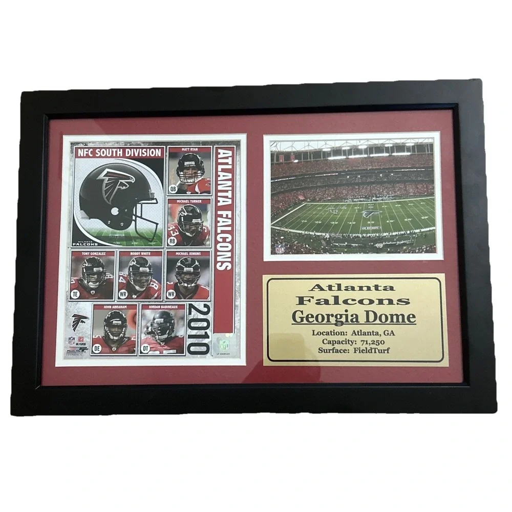 Vtg Atlanta Falcons  NFC 2010 Georgia Dome Field Turf Framed Wall Hanging Plaque